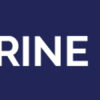 HELMINTHIC PARASITE IN MARINE FISHES - Image 5