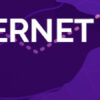 Building Cloud Networks and Internet Software Evolution - Image 5