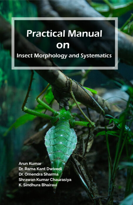 Practical Manual on Insect Morphology and Systematics
