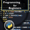 PYTHON PROGRAMMING FOR BEGINNERS - Image 2